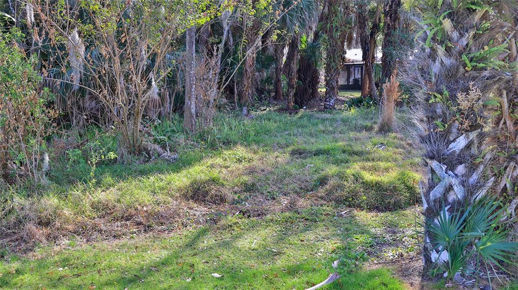 725 Green Road New Smyrna Beach, FL 32168 - Photo 40 of 40 a view of backyard with green space
