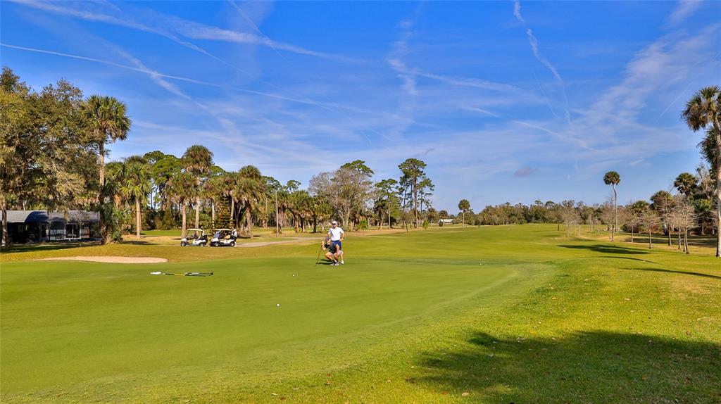 725 Green Road New Smyrna Beach, FL 32168 - Photo 5 of 40 a view of an ocean view