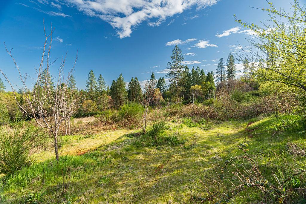 10571 Sebastopol Road North San Juan, CA 95960 - Photo 25 of 34 Gallery Image 25