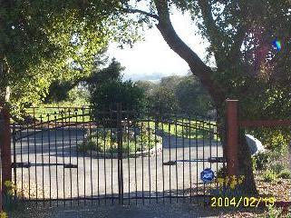 a view of a wrought iron fences