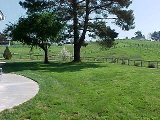 1590 Old Adobe Road Petaluma, CA 94954 - Photo 5 of 9 a view of a park with large trees