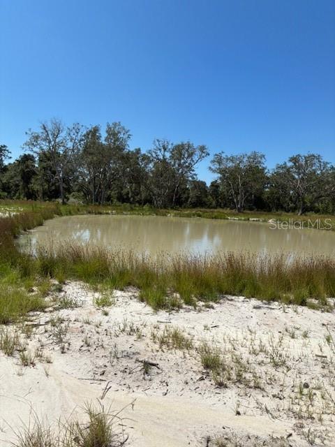 Lake Yale Road Umatilla, FL 32784 - Photo 2 of 11