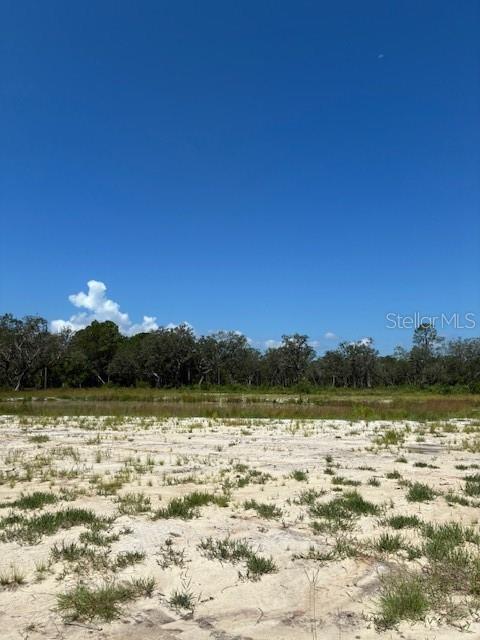 Lake Yale Road Umatilla, FL 32784 - Photo 3 of 11
