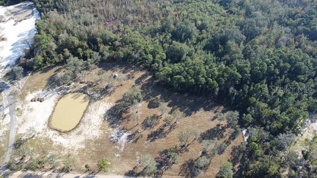 Lake Yale Road Umatilla, FL 32784 - Photo 9 of 11