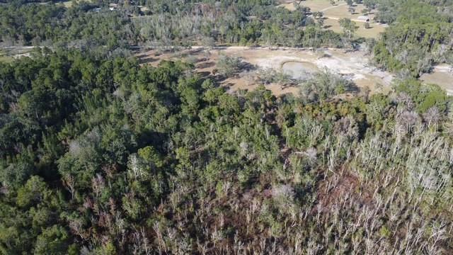 Lake Yale Road Umatilla, FL 32784 - Photo 10 of 11