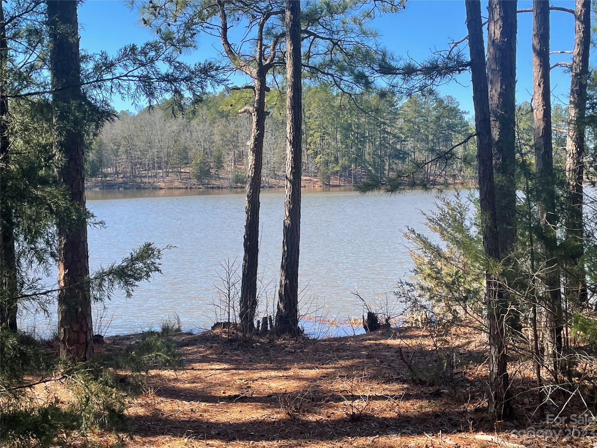 Lot #14 Mountain Lakes Road Chester, SC 29706 - Photo 1 of 13 a view of a bird bath