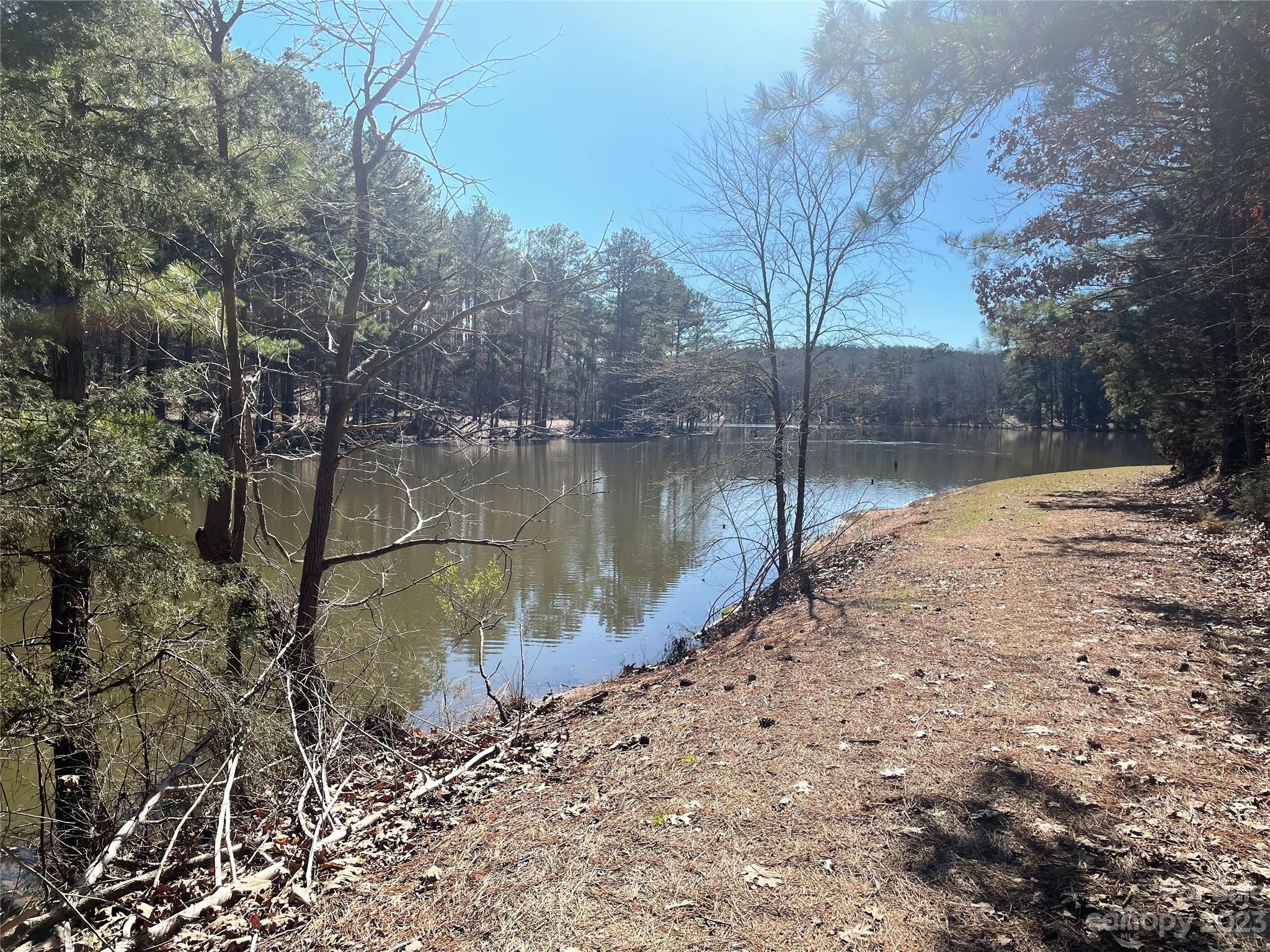 Lot #14 Mountain Lakes Road Chester, SC 29706 - Photo 2 of 13 a view of a lake with a tree