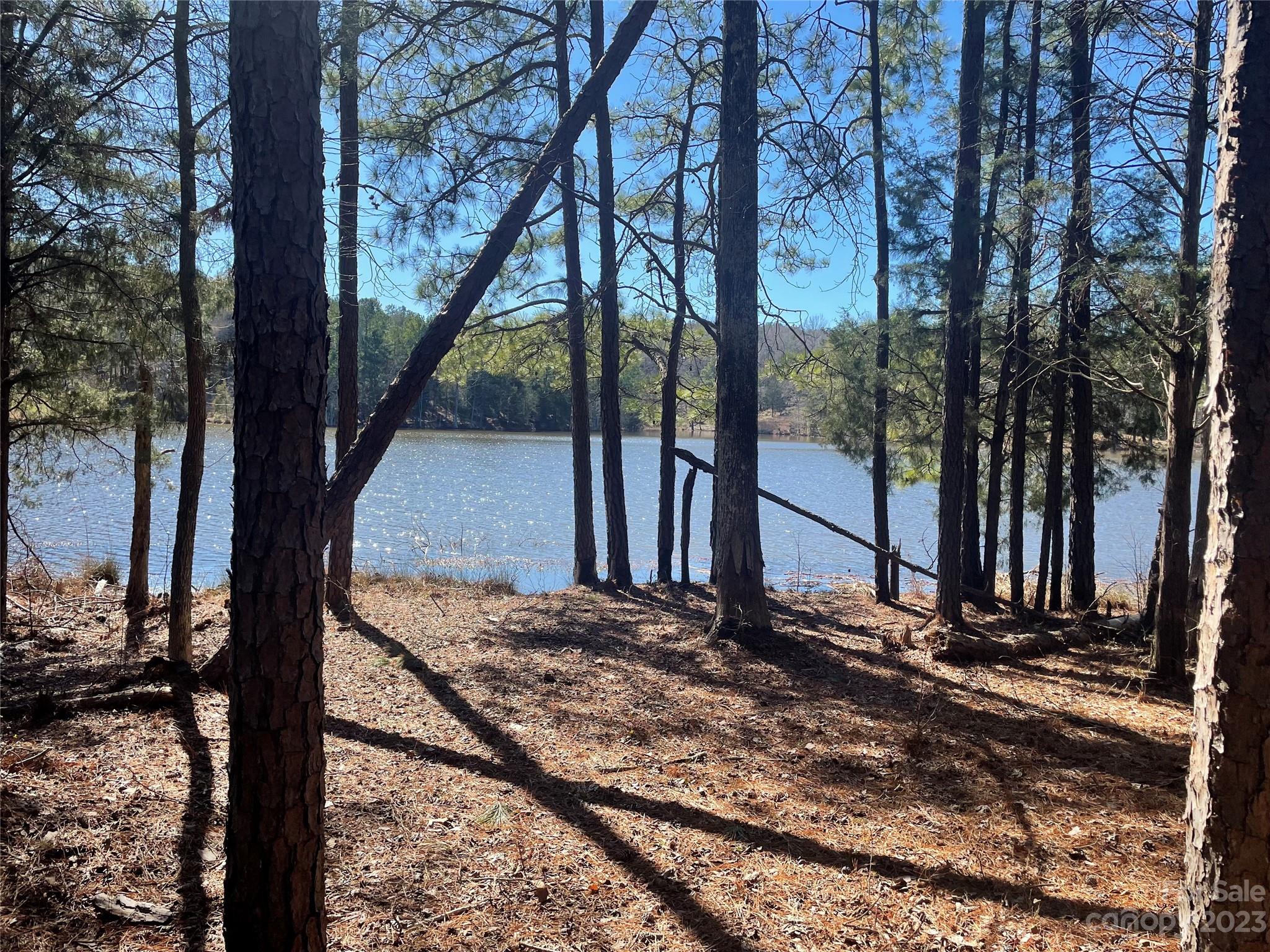 Lot #14 Mountain Lakes Road Chester, SC 29706 - Photo 3 of 13 a view of a backyard with large trees