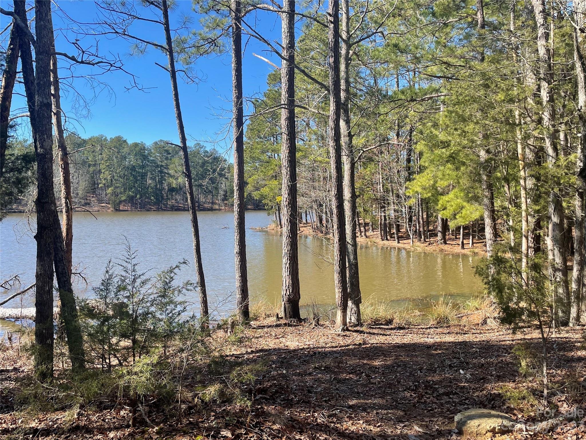 Lot #14 Mountain Lakes Road Chester, SC 29706 - Photo 4 of 13 a view of a backyard of the house