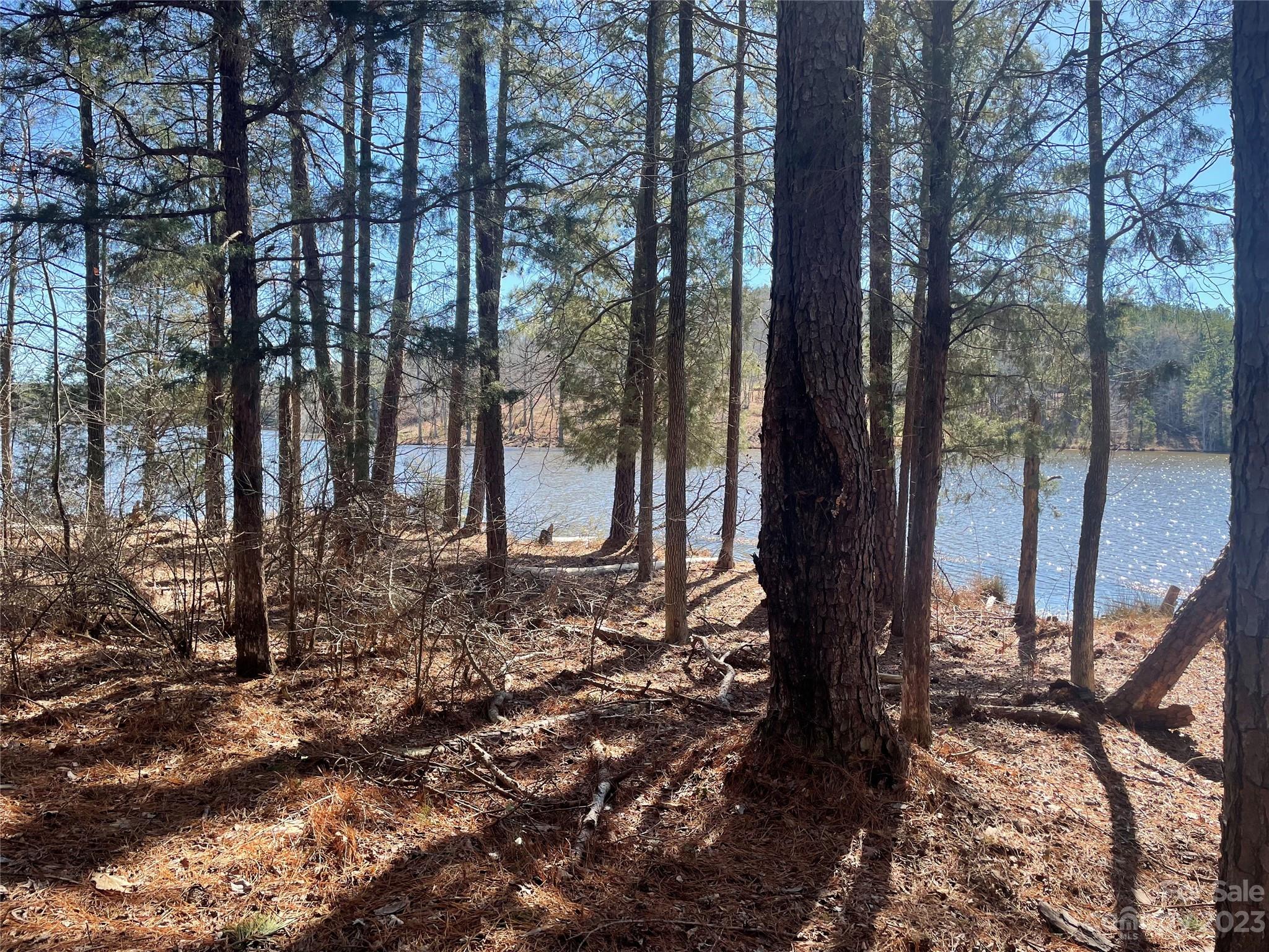 Lot #14 Mountain Lakes Road Chester, SC 29706 - Photo 5 of 13 a backyard of a house with lots of green space