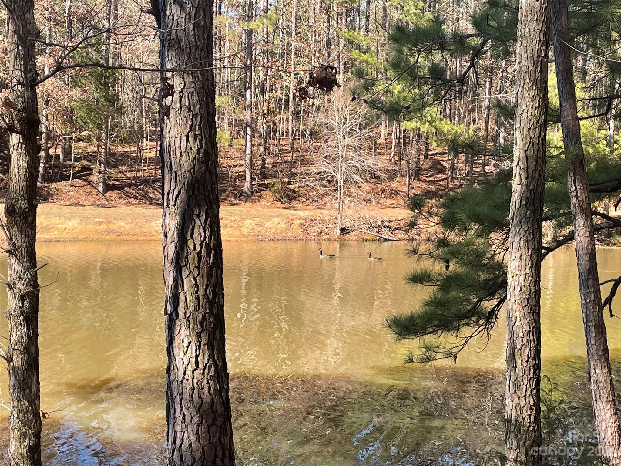 Lot #14 Mountain Lakes Road Chester, SC 29706 - Photo 6 of 13 a view of lake