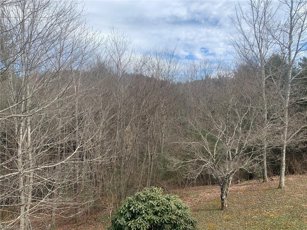 276 Holly Ridge Road West Jefferson, NC 28694 - Photo 10 of 25 Gallery Image 10