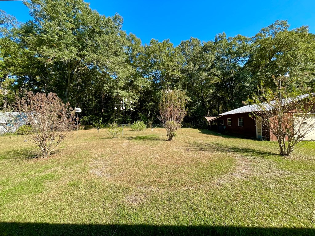 243 Blackman Road Dothan, AL 36301 - Photo 35 of 43 Fenced rear yard