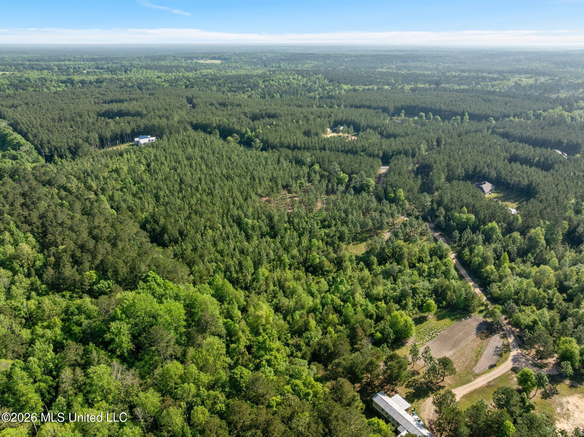 129 Progress Trail Sumrall, MS 39482 - Photo 11 of 16 00_Progress_Trail-11