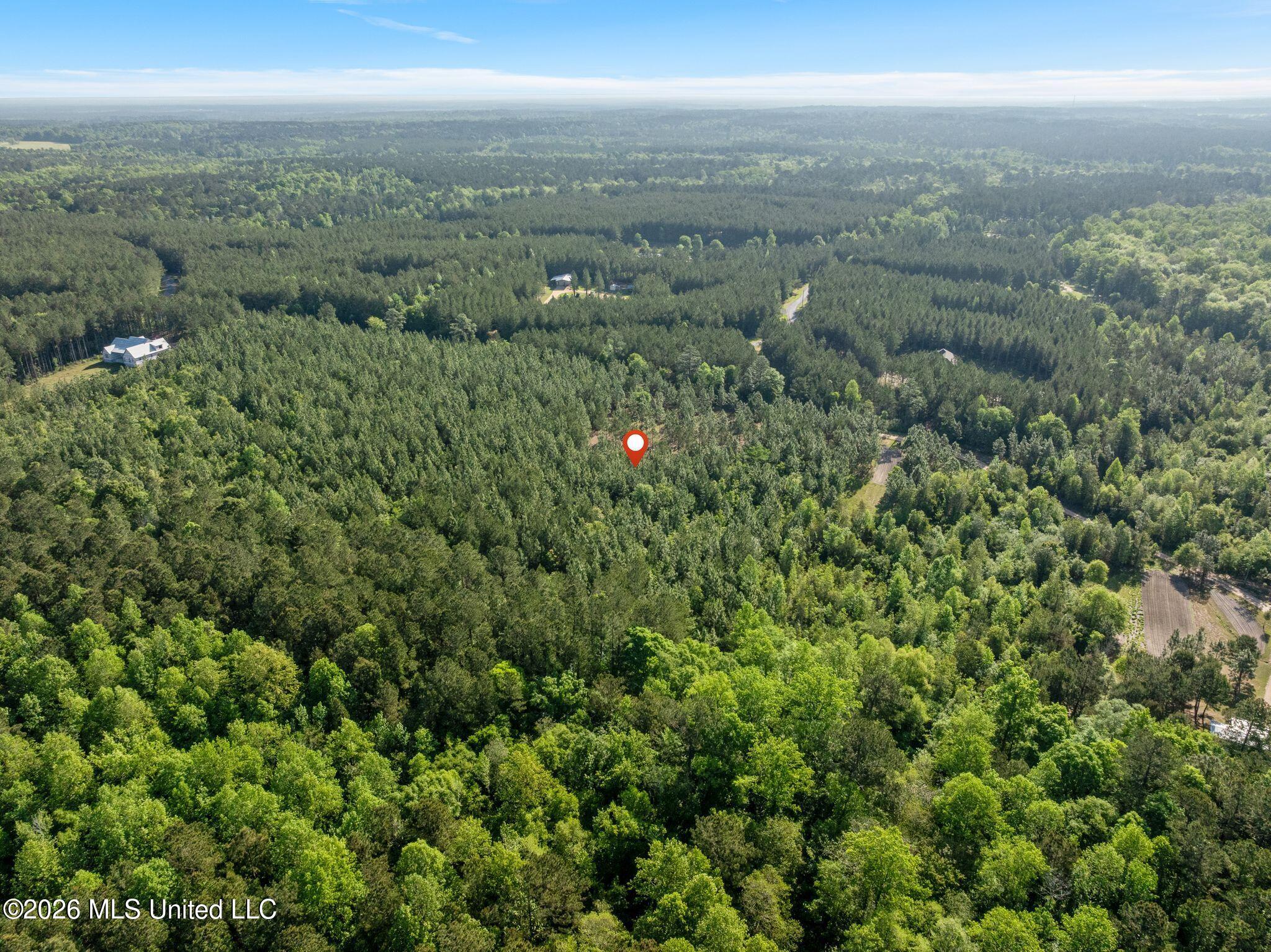 129 Progress Trail Sumrall, MS 39482 - Photo 12 of 16 00_Progress_Trail-12