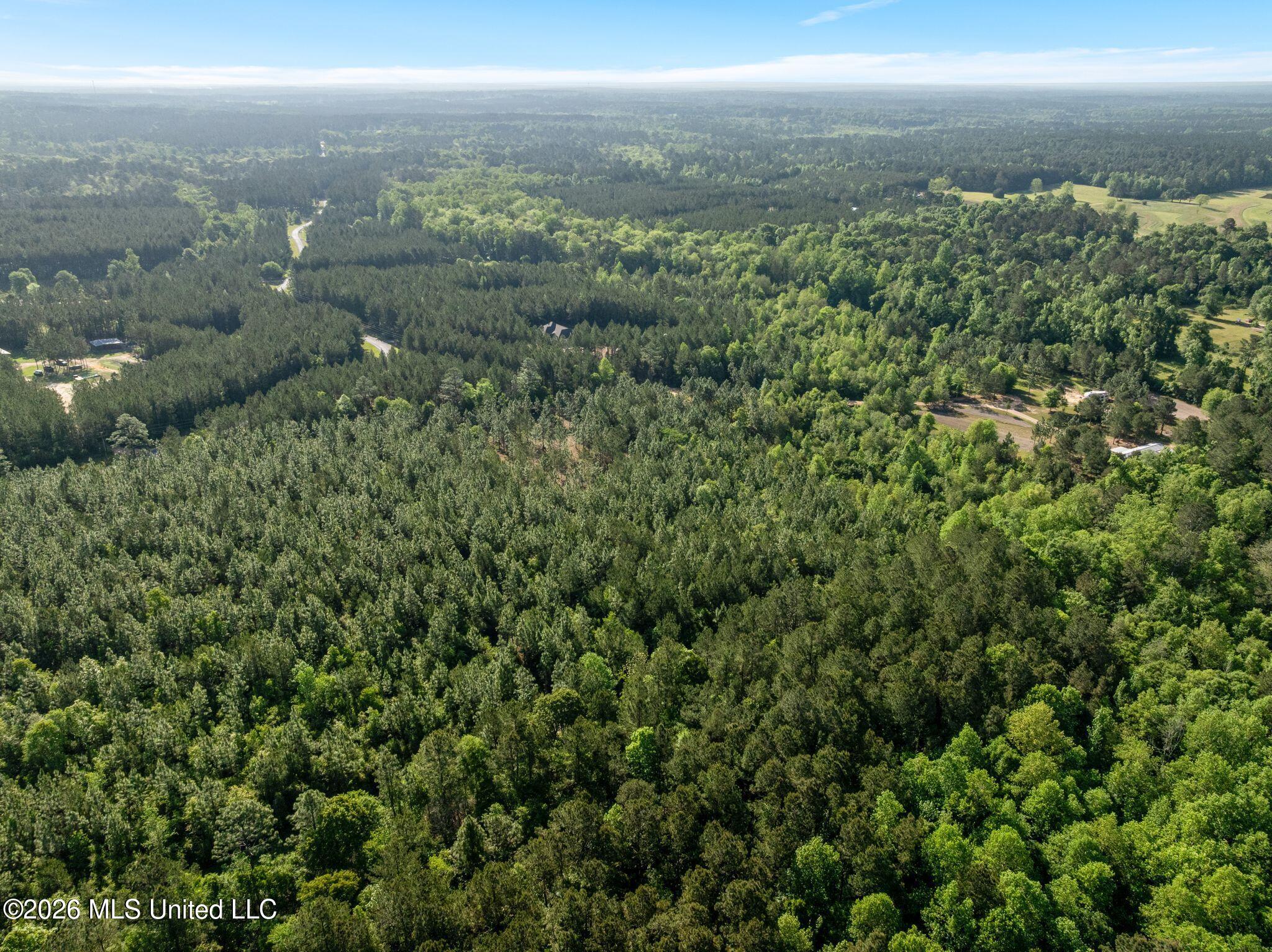 129 Progress Trail Sumrall, MS 39482 - Photo 13 of 16 00_Progress_Trail-13