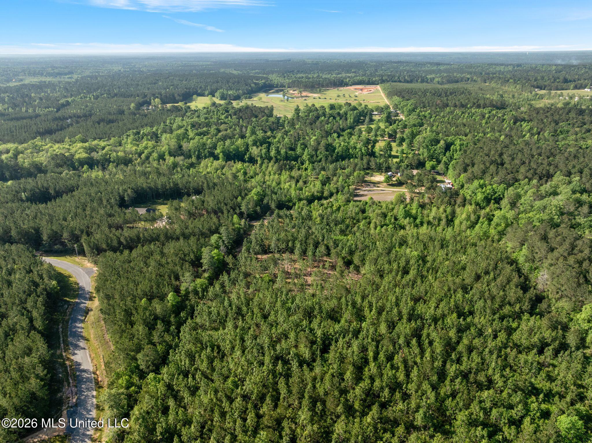 129 Progress Trail Sumrall, MS 39482 - Photo 15 of 16 00_Progress_Trail-15