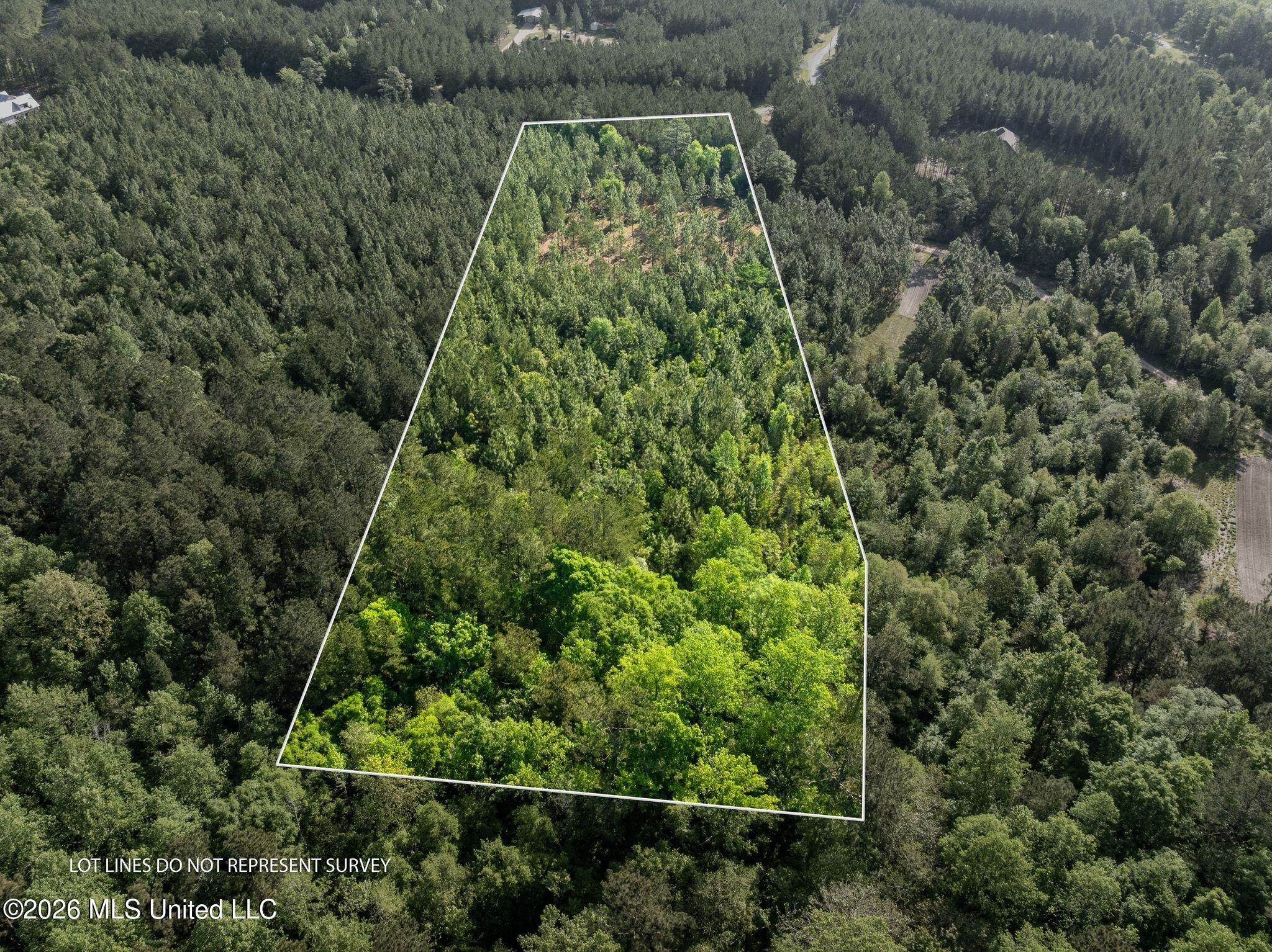 129 Progress Trail Sumrall, MS 39482 - Photo 2 of 16 00_Progress_Trail-2