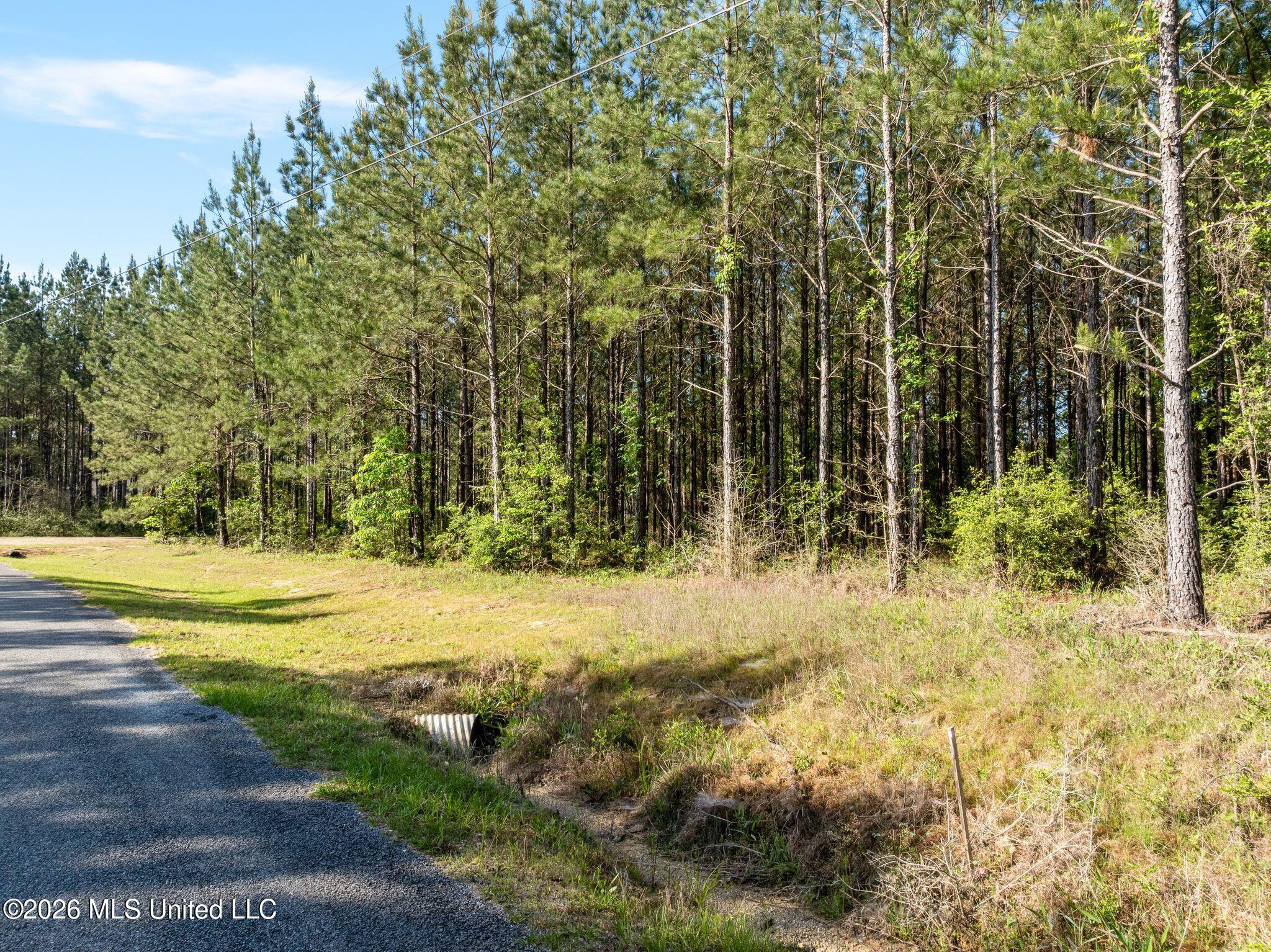 129 Progress Trail Sumrall, MS 39482 - Photo 3 of 16 00_Progress_Trail-3