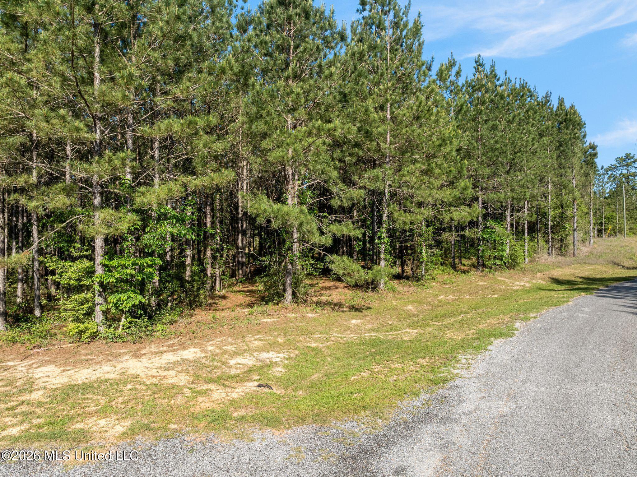 129 Progress Trail Sumrall, MS 39482 - Photo 4 of 16 00_Progress_Trail-4