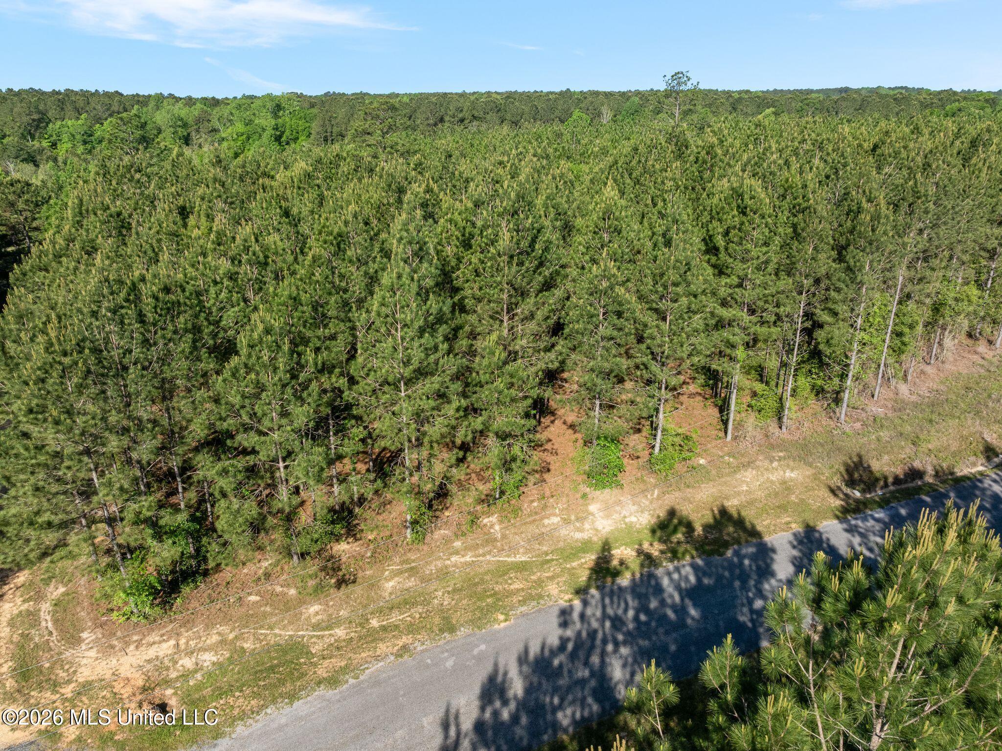 129 Progress Trail Sumrall, MS 39482 - Photo 5 of 16 00_Progress_Trail-5
