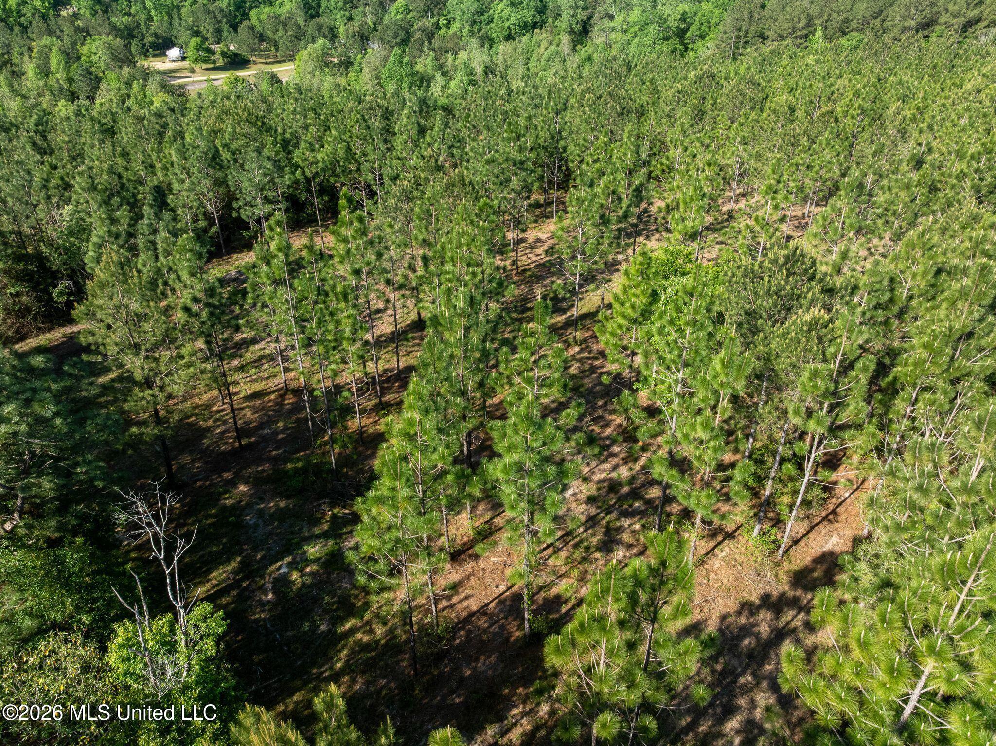 129 Progress Trail Sumrall, MS 39482 - Photo 6 of 16 00_Progress_Trail-6