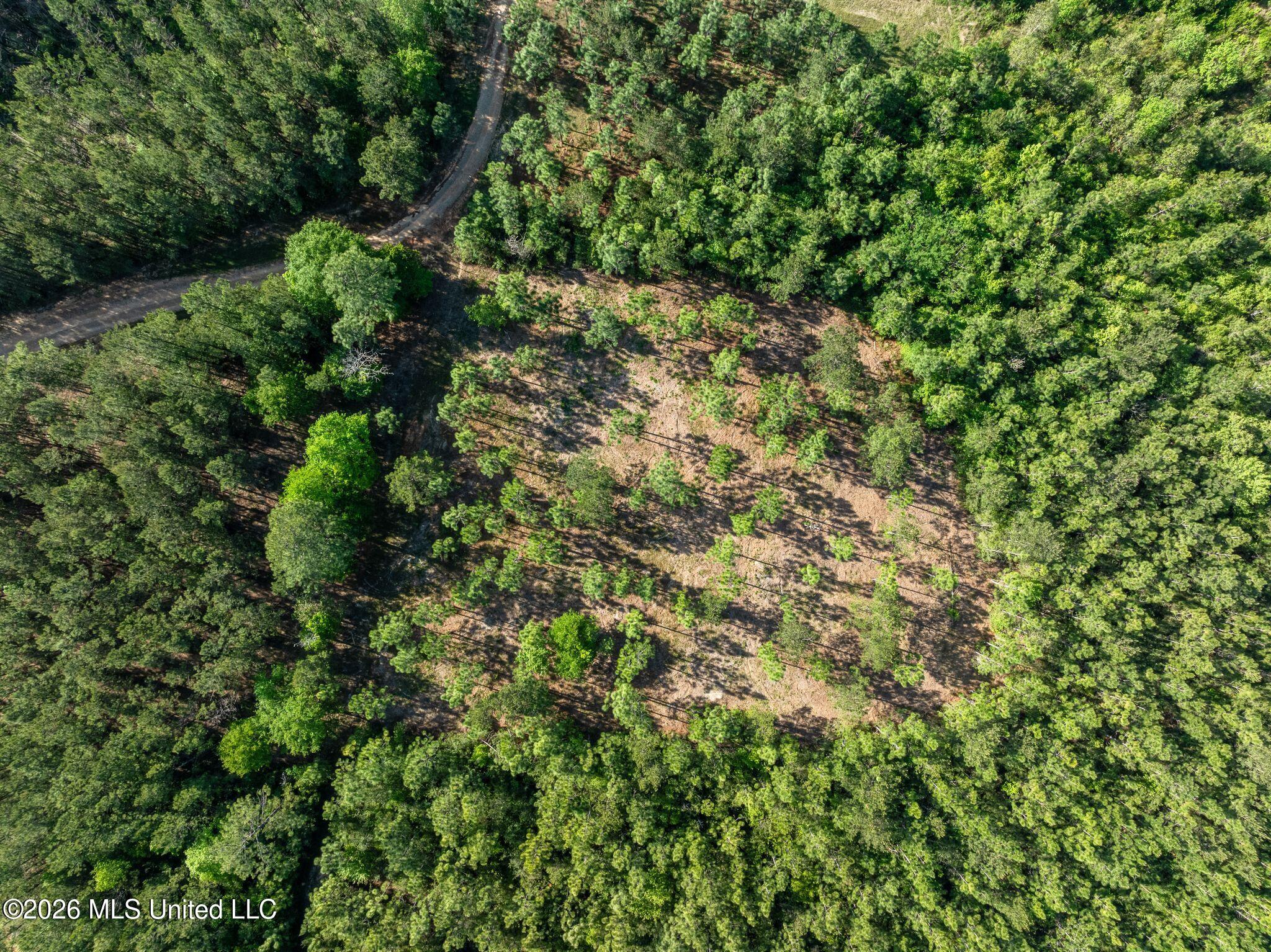 129 Progress Trail Sumrall, MS 39482 - Photo 7 of 16 00_Progress_Trail-7