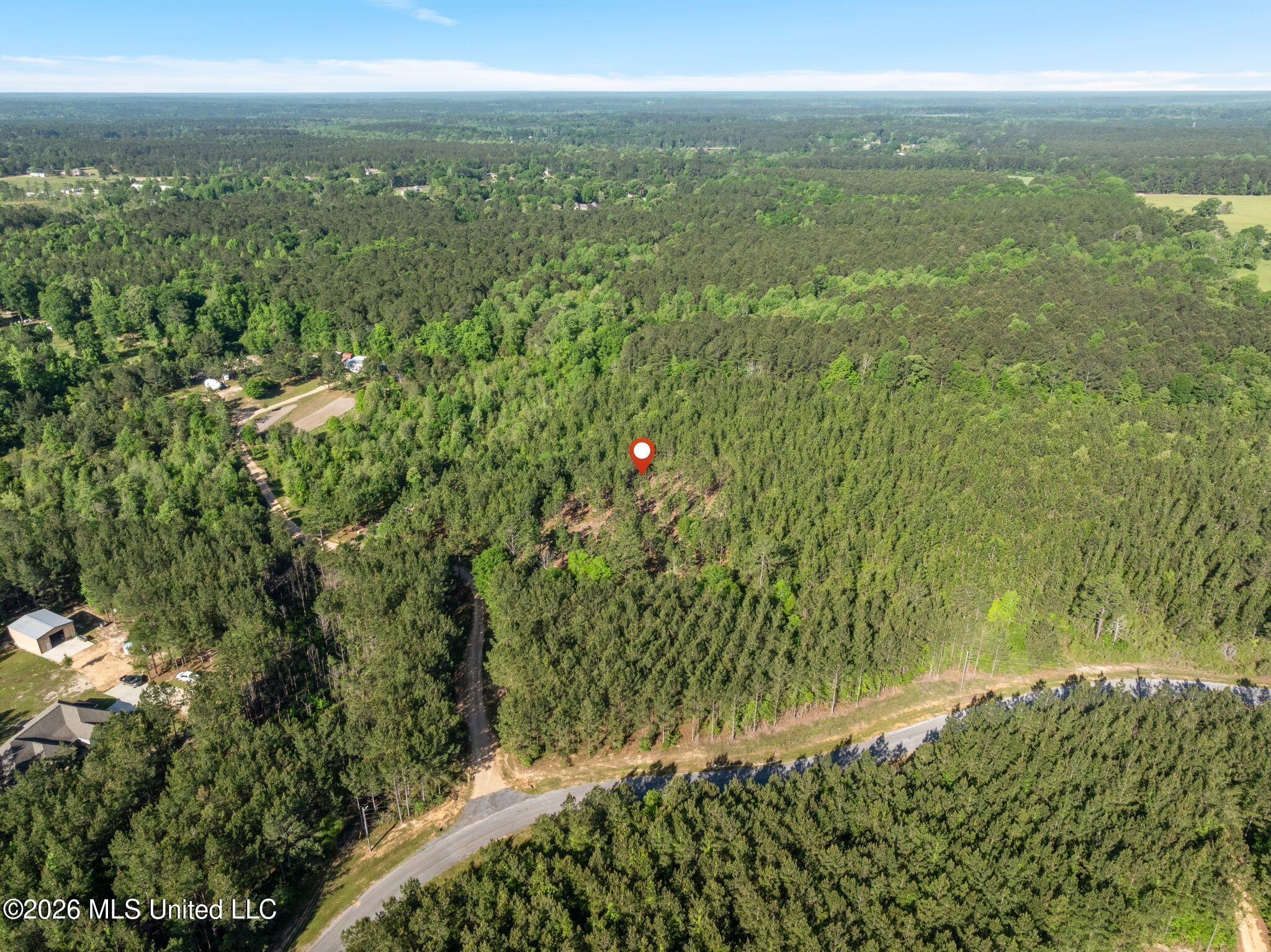 129 Progress Trail Sumrall, MS 39482 - Photo 8 of 16 00_Progress_Trail-8