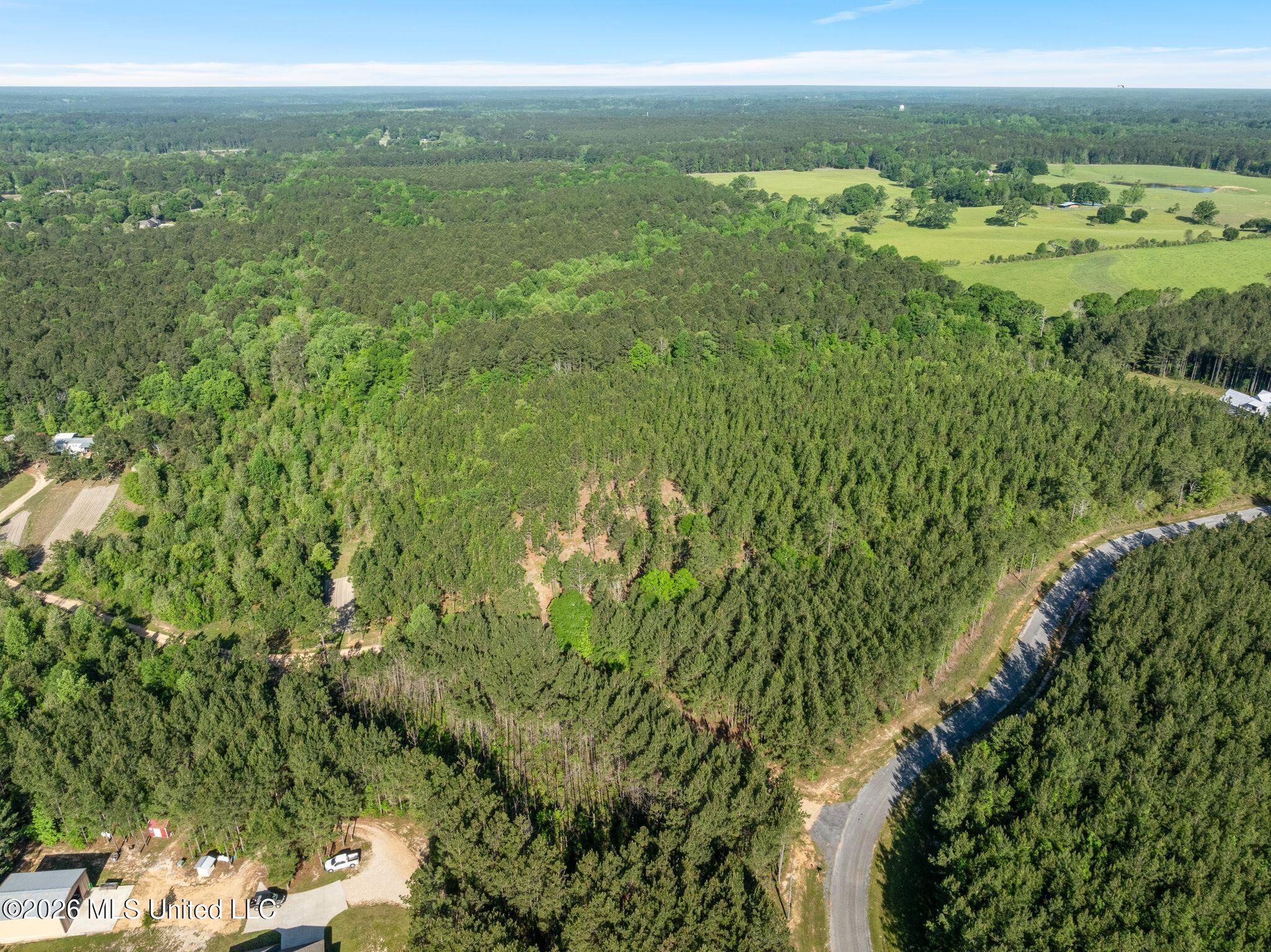 129 Progress Trail Sumrall, MS 39482 - Photo 9 of 16 00_Progress_Trail-9