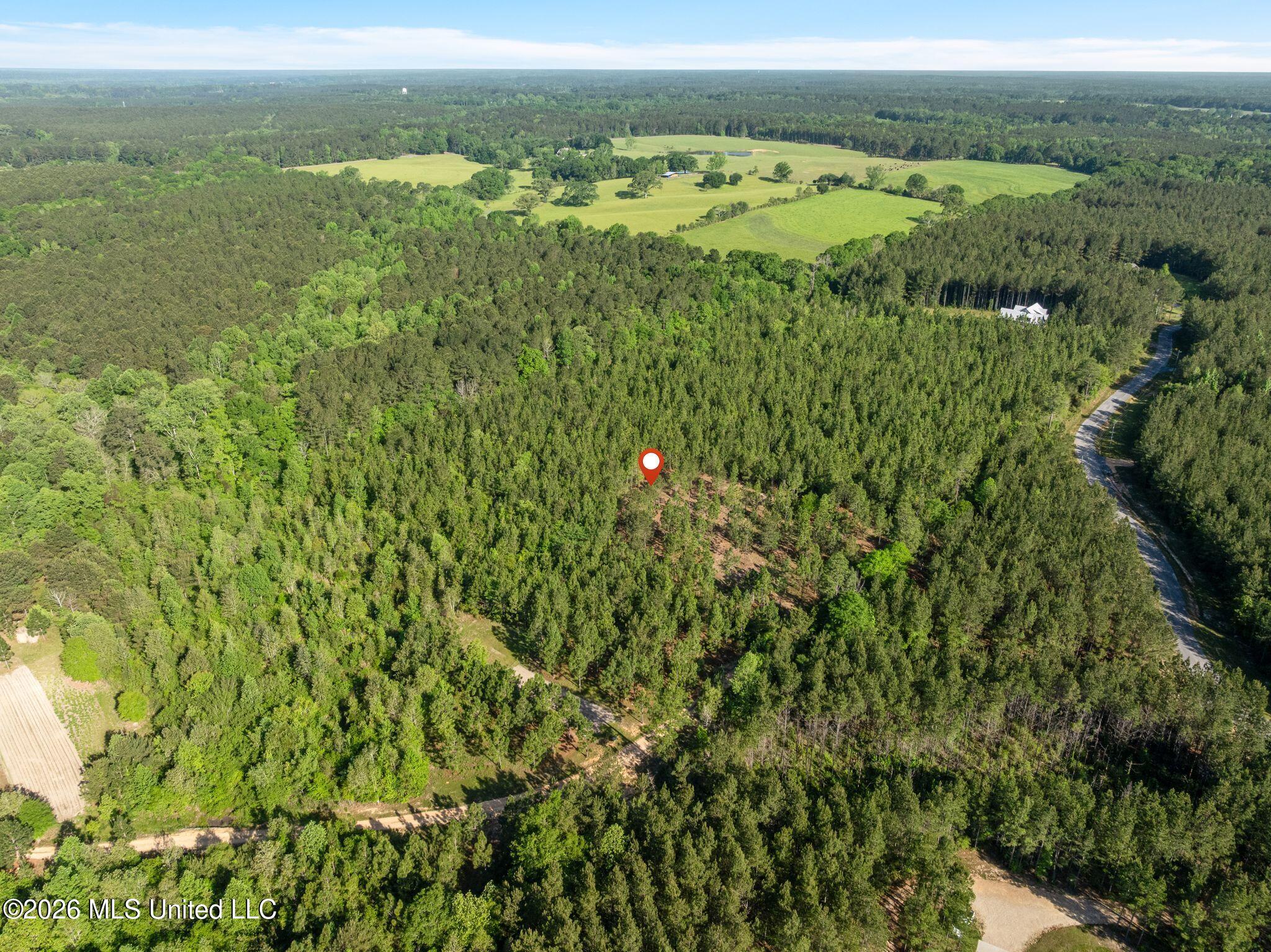 129 Progress Trail Sumrall, MS 39482 - Photo 10 of 16 00_Progress_Trail-10