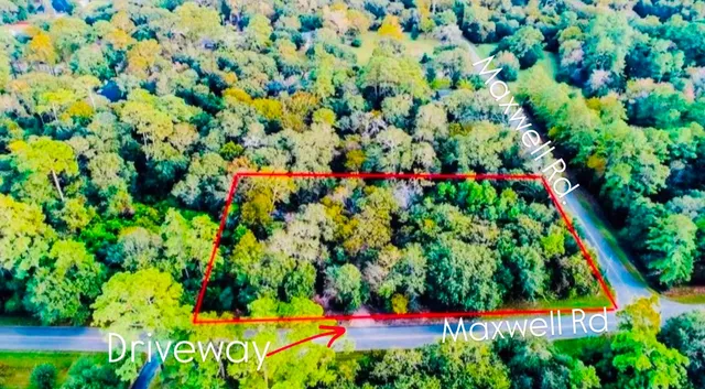 a view of a flower in a garden