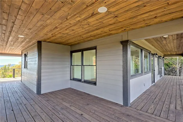 a view of a backyard with plants and a potted plant