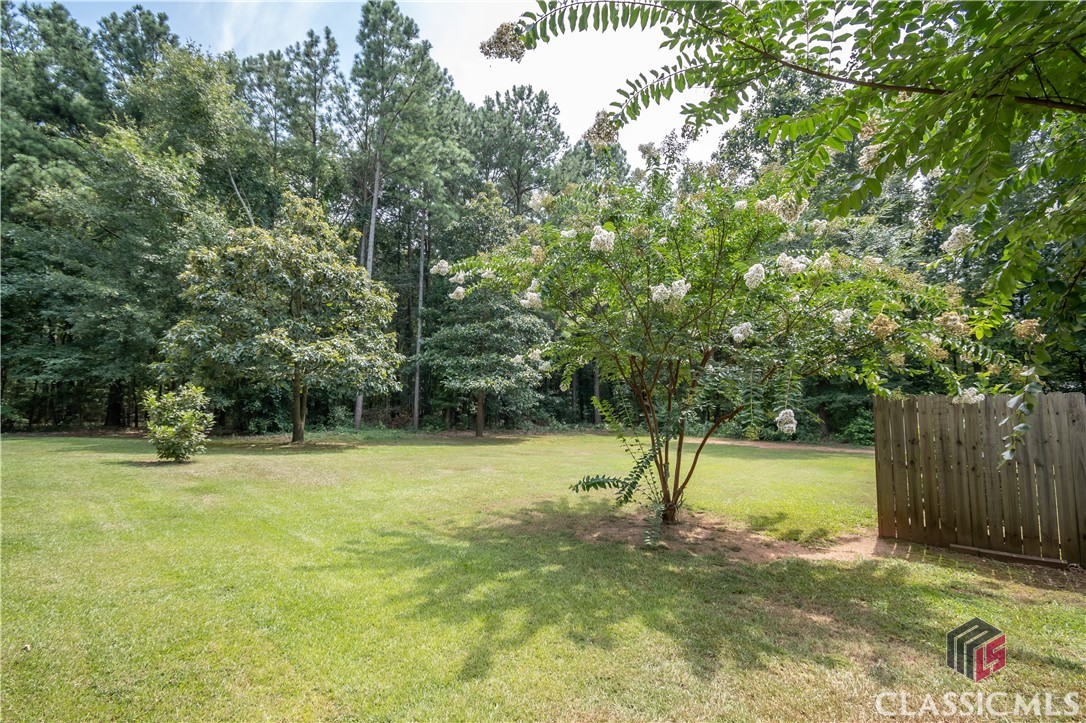 279 Brickyard Road Comer, GA 30629 - Photo 4 of 41