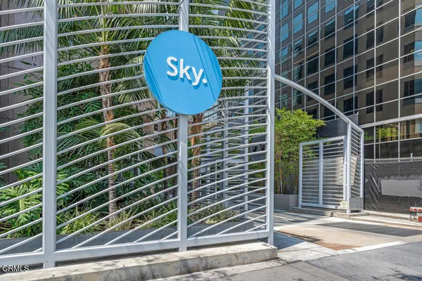 a view of a door with a wall and a potted plant