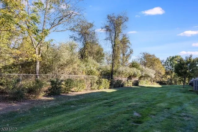 a view of a field with large trees