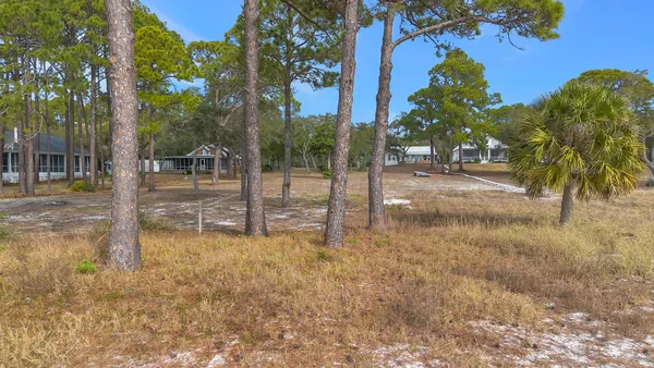 $2,500,000 | 4380 St Teresa Avenue, Sopchoppy, FL 32358