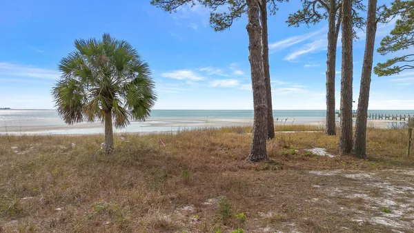 $2,500,000 | 4380 St Teresa Avenue, Sopchoppy, FL 32358