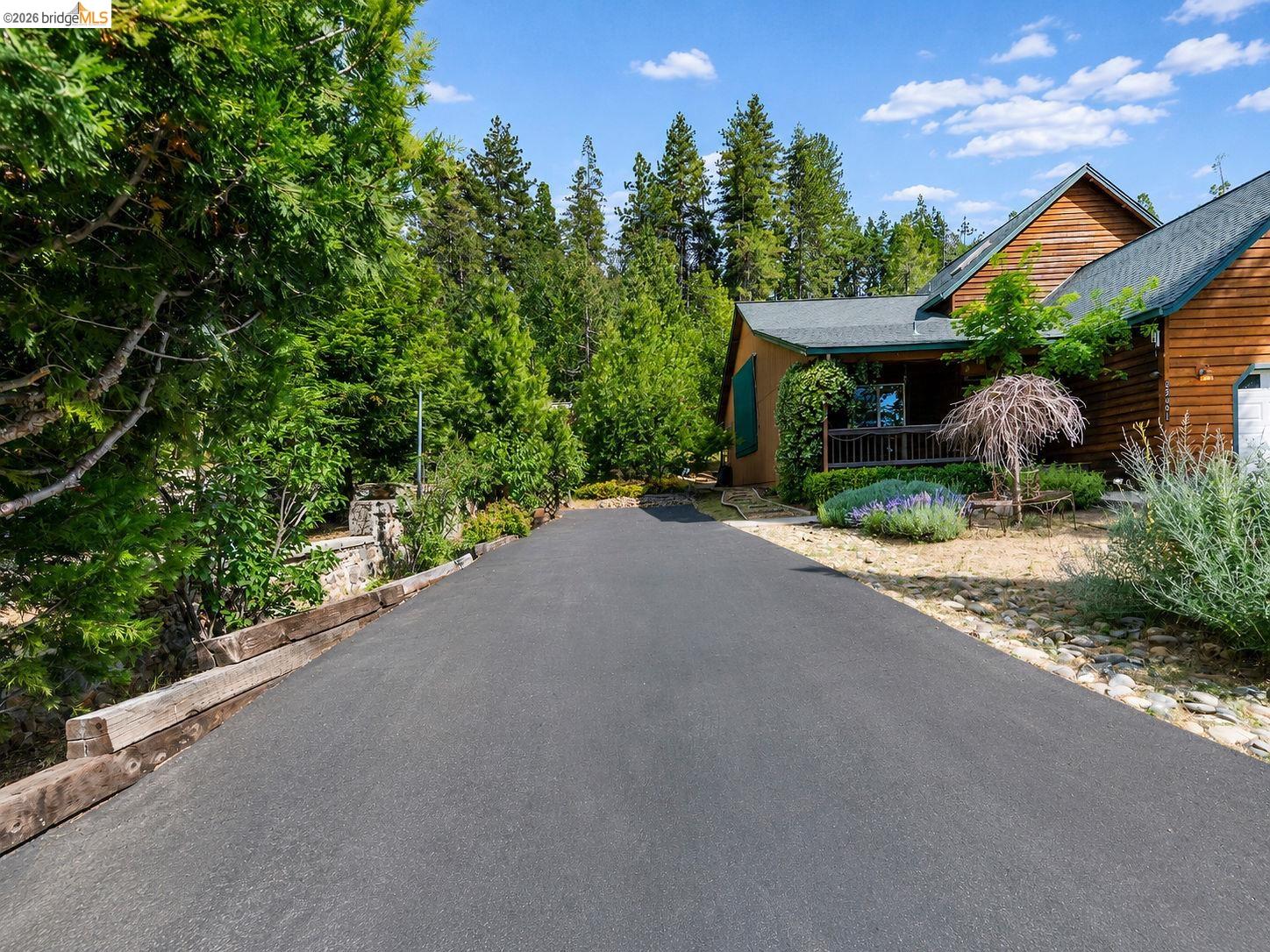 22401 Ridge Road Twain Harte, CA 95383 - Photo 49 of 56 Paved driveway leading to a wood-sided dwelling with a covered porch and surrounding mature landscaping