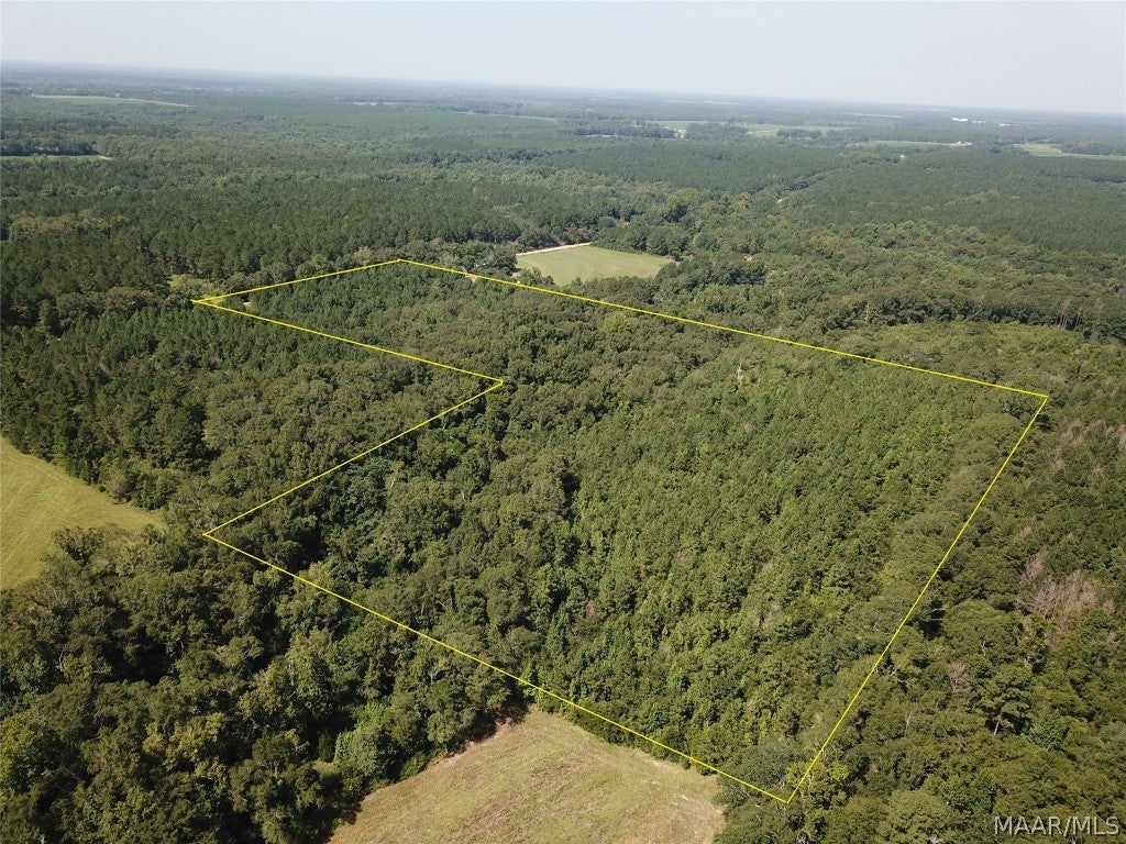 25-acres Coe Road Hartford, AL 36344 - Photo 1 of 13 Gallery Image 1