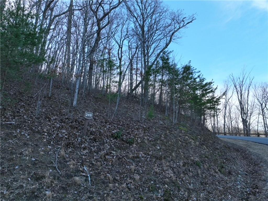 249 Andes Ridge Talking Rock, GA 30175 - Photo 8 of 20