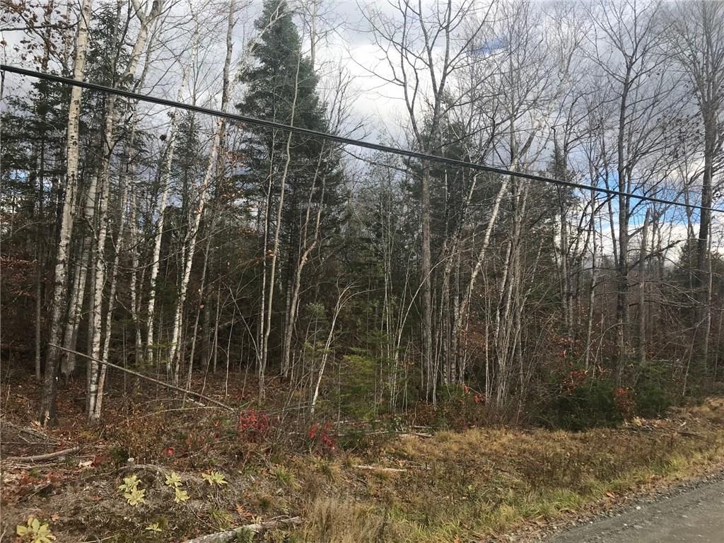 Tbd Davidson Road Abbot, ME 04406 - Photo 7 of 8 Photo