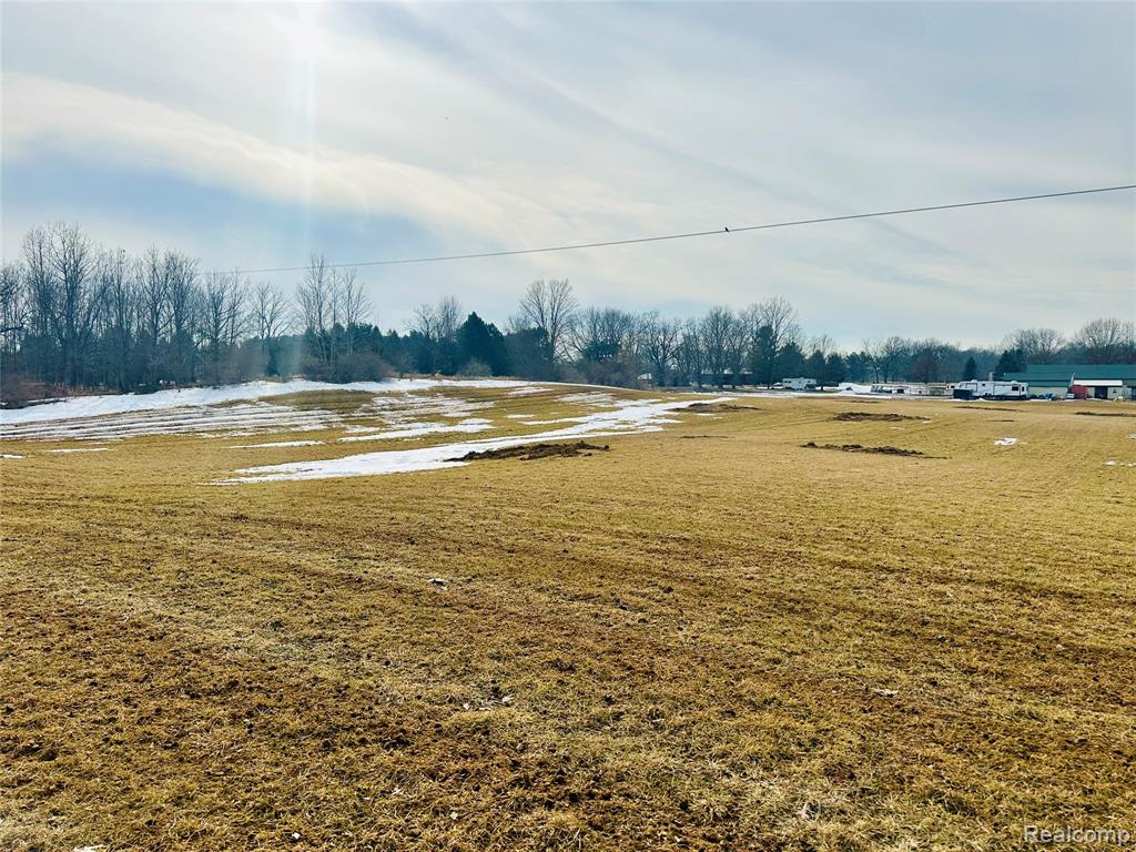 10 Wasson Road Gregory, MI 48137 - Photo 3 of 28