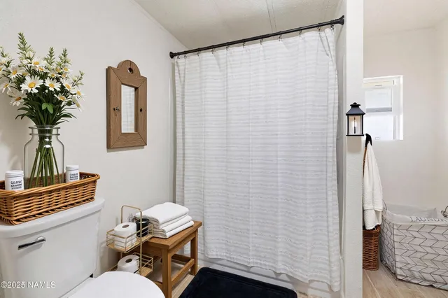 a bathroom with a toilet a sink and shower curtain