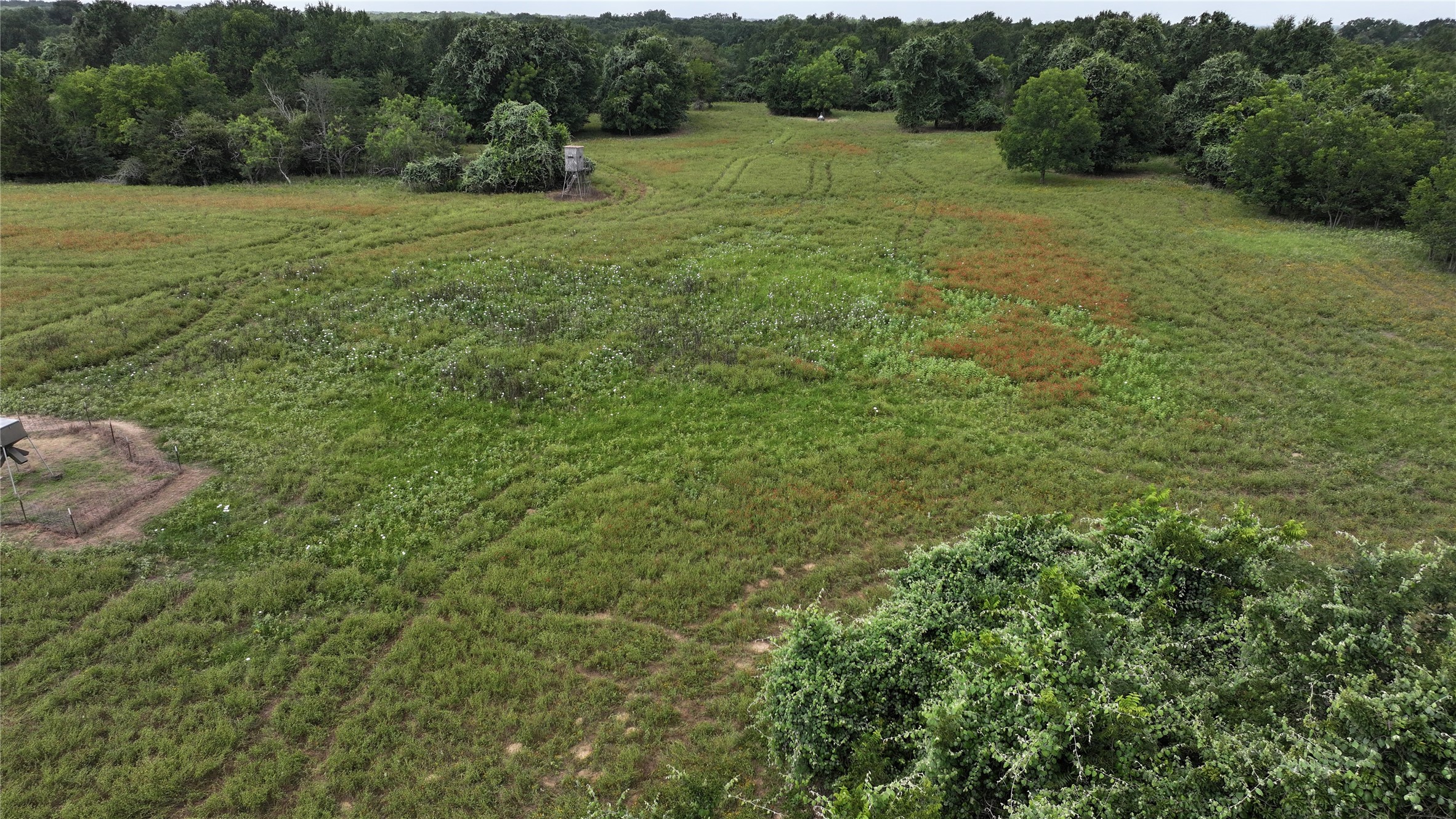 Tbd Tbd Rose Hill Road Calvert, TX 77837 - Photo 8 of 23
