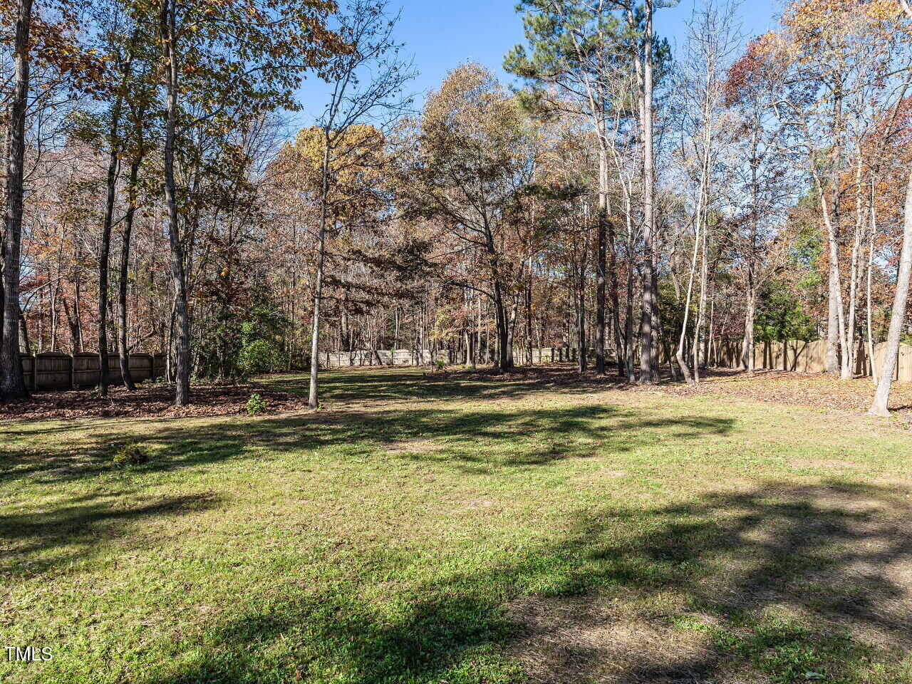 121 Inwood Forest Drive Raleigh, NC 27603 - Photo 3 of 55 Backyard