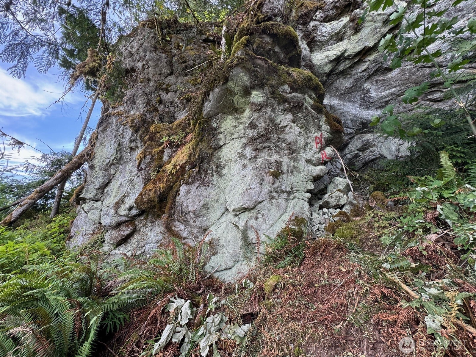 4 Skinner Road Randle, WA 98377 - Photo 12 of 36