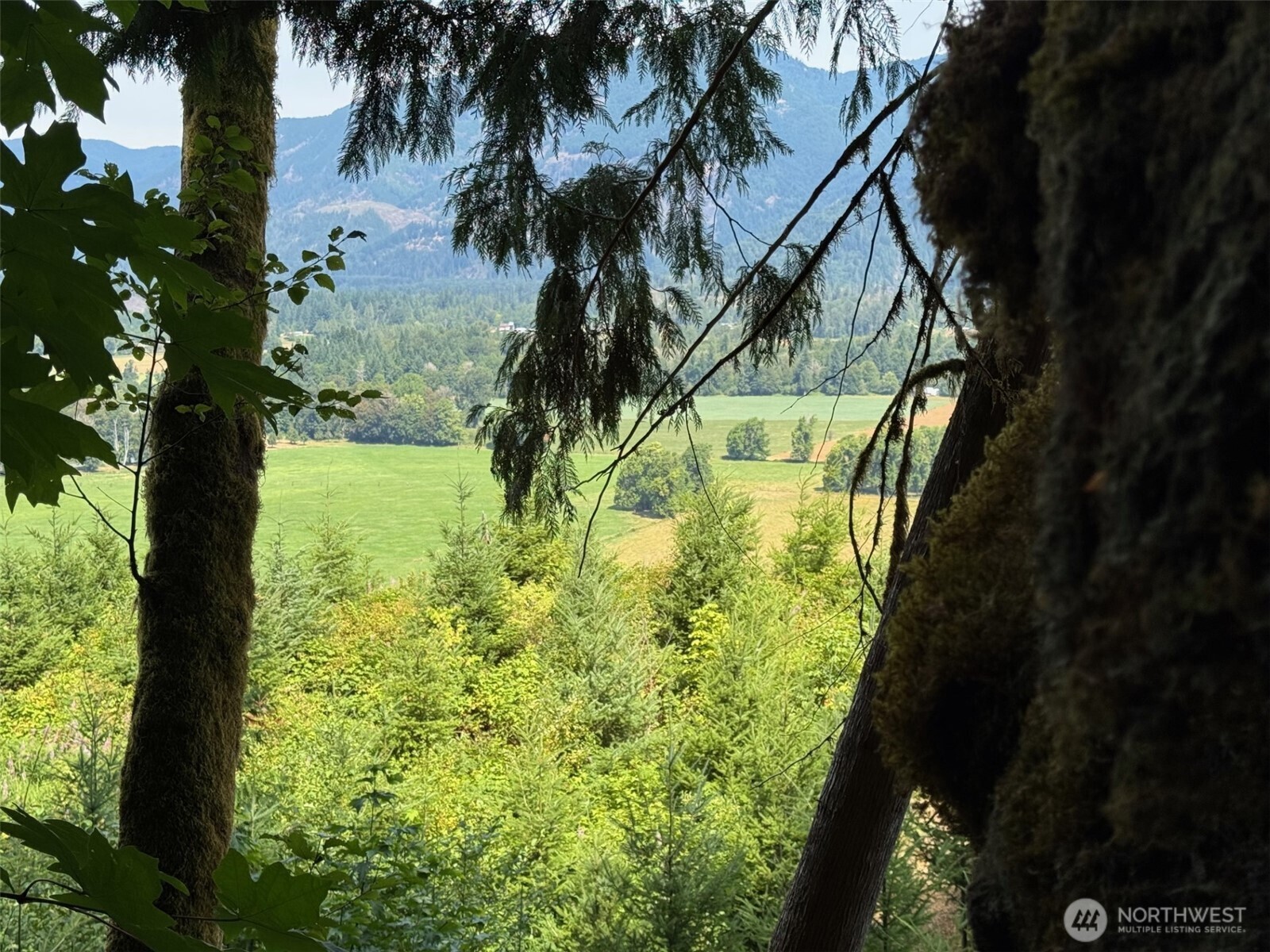 4 Skinner Road Randle, WA 98377 - Photo 15 of 36 a view of a yard