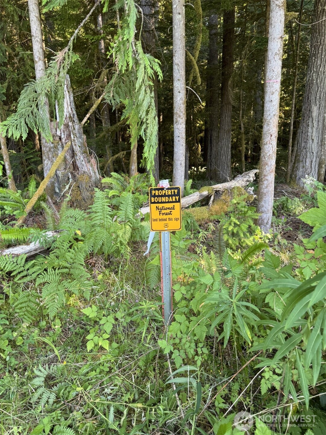 4 Skinner Road Randle, WA 98377 - Photo 17 of 36