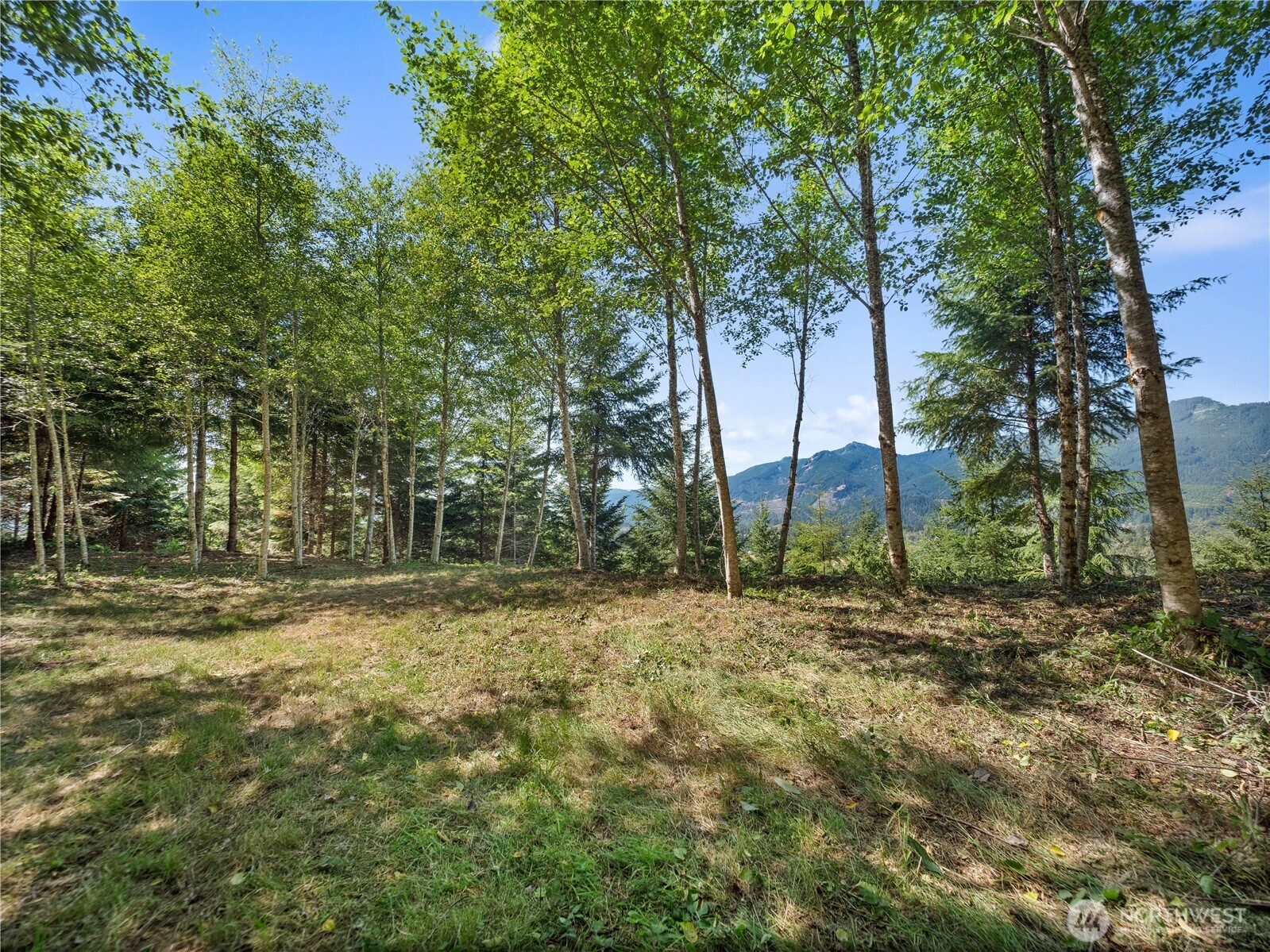 4 Skinner Road Randle, WA 98377 - Photo 24 of 36