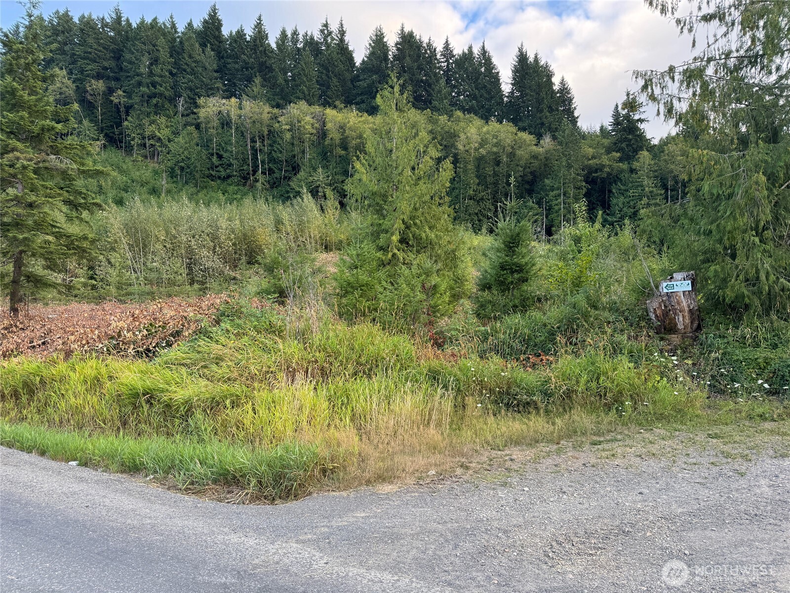 4 Skinner Road Randle, WA 98377 - Photo 3 of 36 a view of a garden